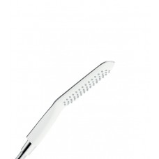 Hansgrohe PuraVida 28558400 Душевая лейка